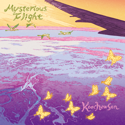 Mysterious Flight Front Cover