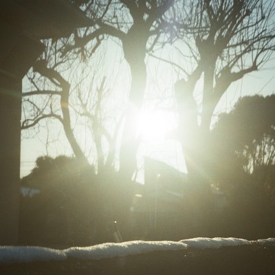 Thawing Light Front Cover