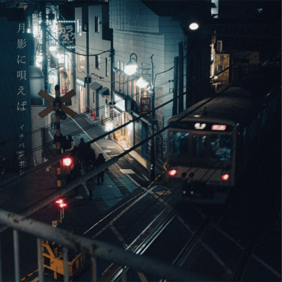 Singing in the Moonlight Front Cover