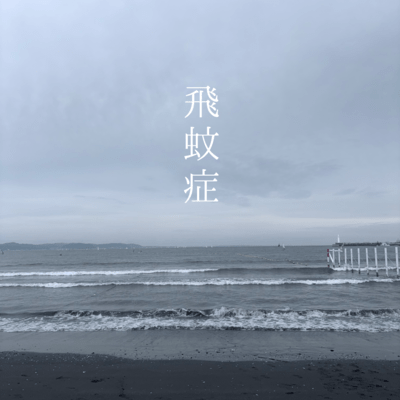 Floaters Front Cover