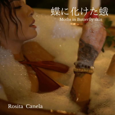 Moths in Butterfly skin Front Cover