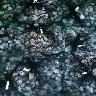 Sediments Front Cover