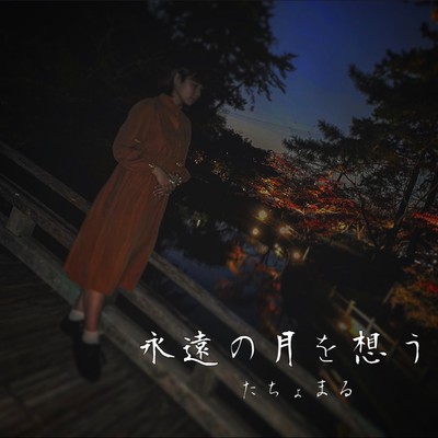 Towa No Tsuki Omou Front Cover