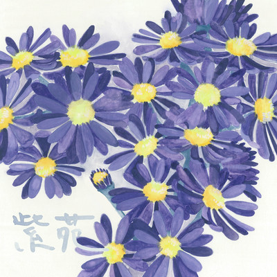 Shion Front Cover