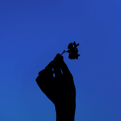 letterのジャケット写真