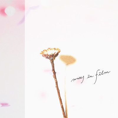 flower letter Front Cover