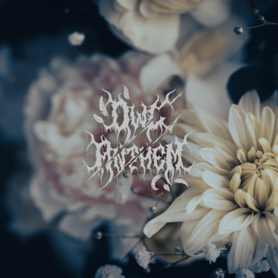 Shinikirenai Front Cover