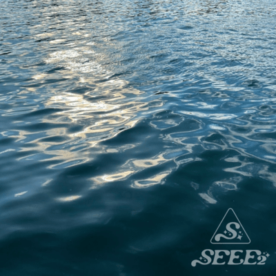 最後の点呼のジャケット写真