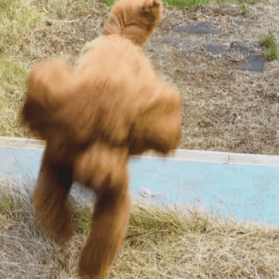 su-mu (-Don't Stop- Keiichi Sokabe Remix) Front Cover