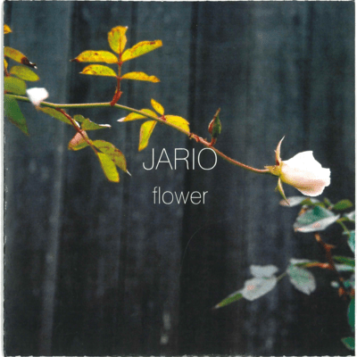 flower Front Cover