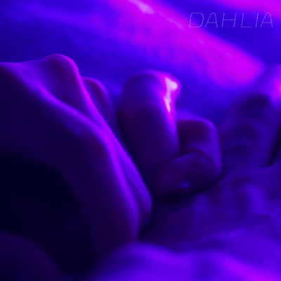 DAHLIA Front Cover