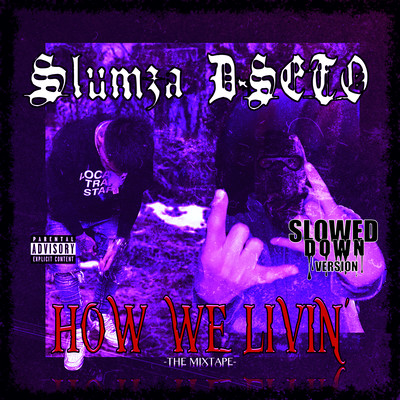 HOW WE LIVIN' (SLOWED DOWN) Front Cover