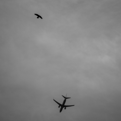 Sayonara Tokyo Front Cover