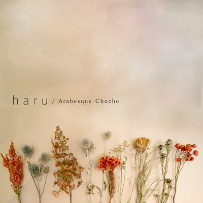 haruのジャケット写真