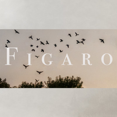 FIGARO Front Cover
