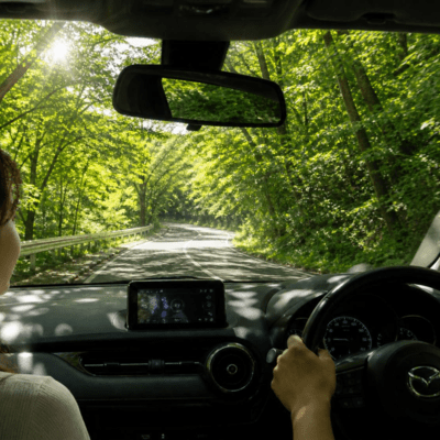 Driving in the Dappled Light Front Cover