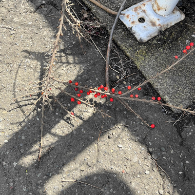 Filtrationのジャケット写真