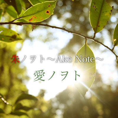Ai no oto Front Cover