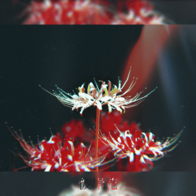 Spider lily (feat. synthsizer v Mai) Front Cover