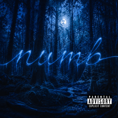 numb Front Cover