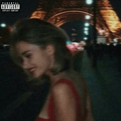 Problem in Paris Front Cover