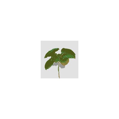 Leaf Front Cover