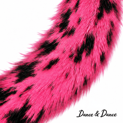 DANCE & DANCEのジャケット写真