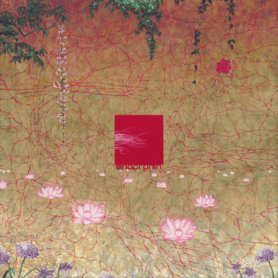 endorphin Front Cover