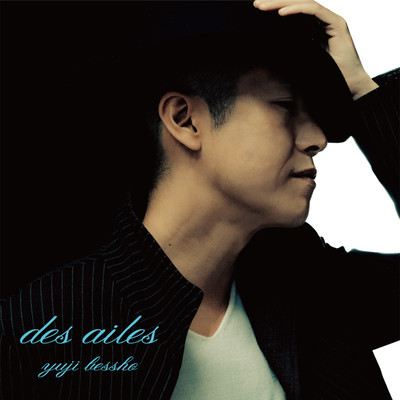 des ailesのジャケット写真