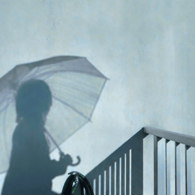 Water lily Front Cover