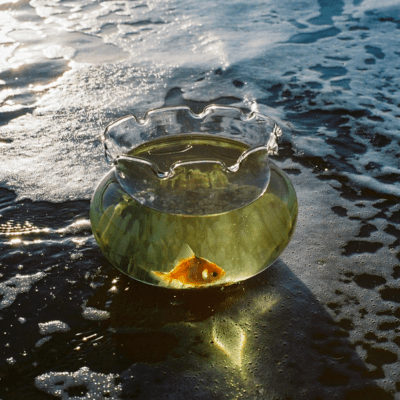 umigamieru-のジャケット写真