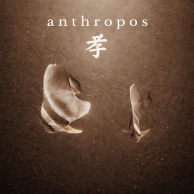 anthropos roots Front Cover