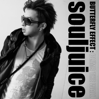 BUTTERFLY EFFECT : CLIMB THE WALL Front Cover