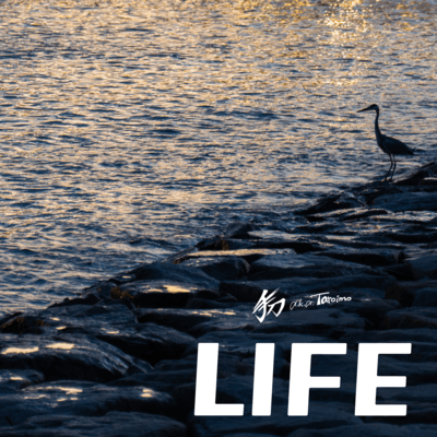 LIFE Front Cover