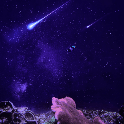 In this Galaxy Front Cover
