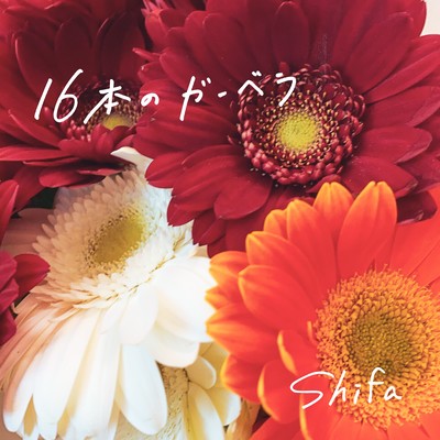 sixteen gerberas Front Cover