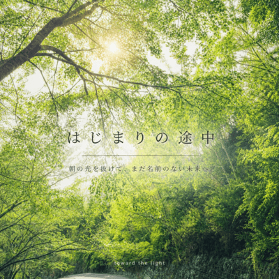 toward the light Front Cover