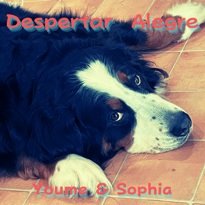 Despertar Alegre Front Cover