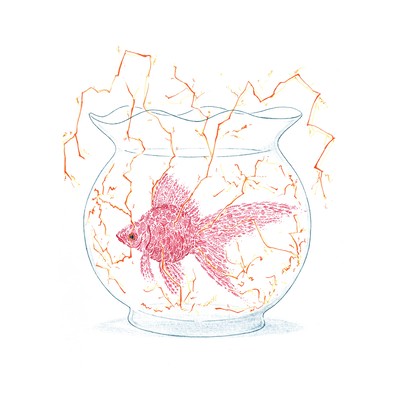 A Pot About to Break Front Cover