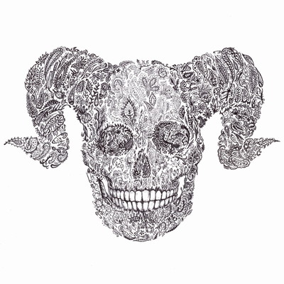 Sheep in Voice Front Cover