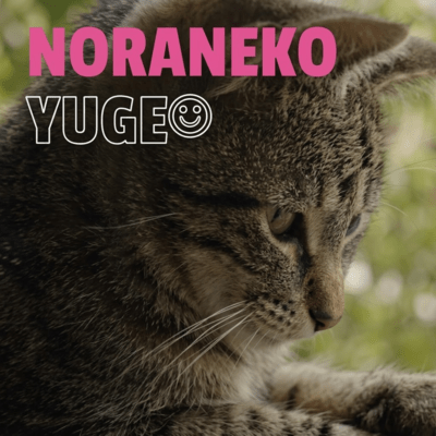 NORANEKO Front Cover