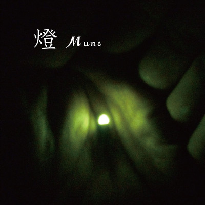 The light Front Cover