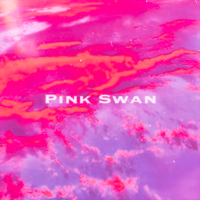 Pink Swan Front Cover