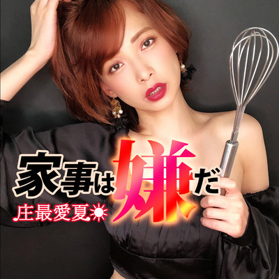 家事は嫌だのジャケット写真