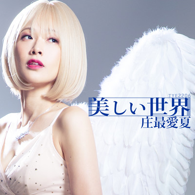 美しい世界のジャケット写真
