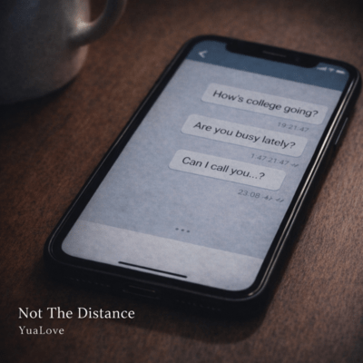 Not The Distance Front Cover