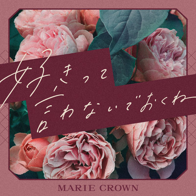 Sukitte Iwanaide Okune Front Cover