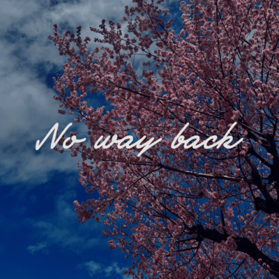 No way back Front Cover