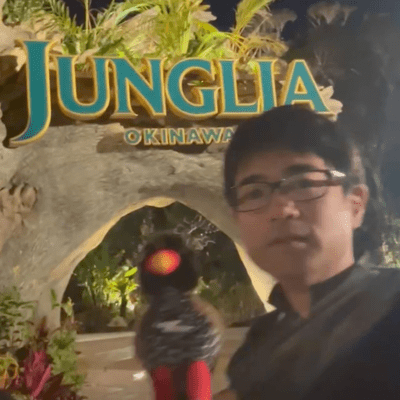 Theme Of Jungria Front Cover