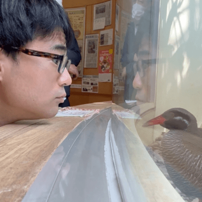 The Yanbaru Kuina Does Not Fly Front Cover